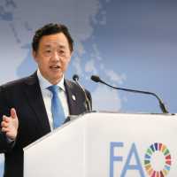 FAO calls for stronger implementation of global food safety standards